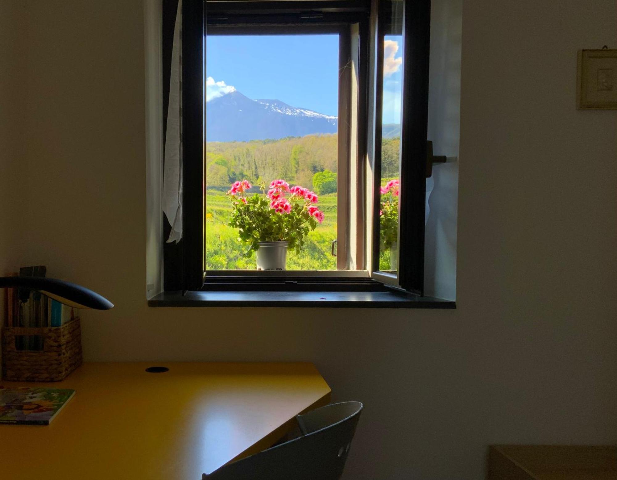 Tenuta Kiwi Dell'Etna ミーロ エクステリア 写真