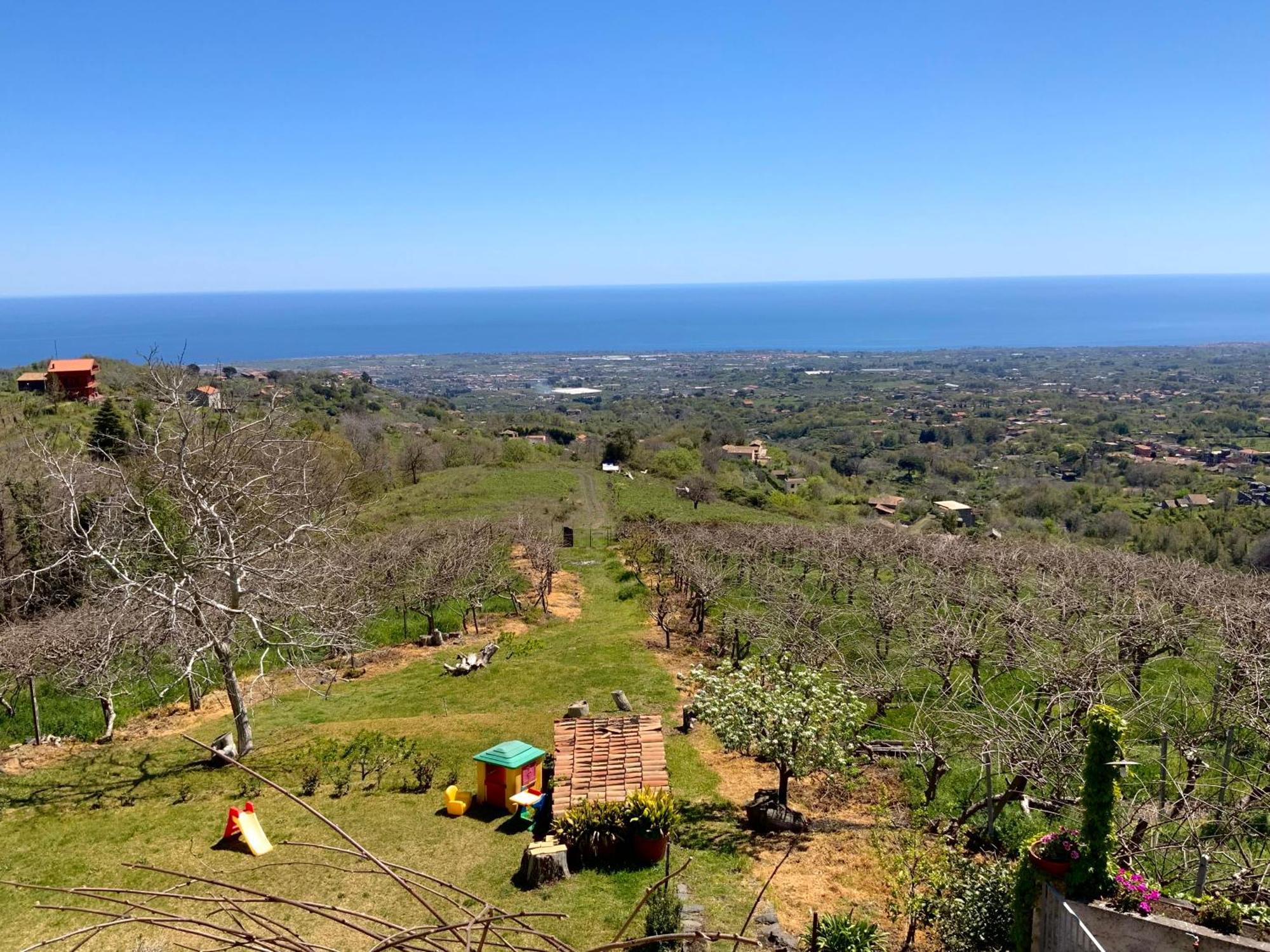 Tenuta Kiwi Dell'Etna ミーロ エクステリア 写真