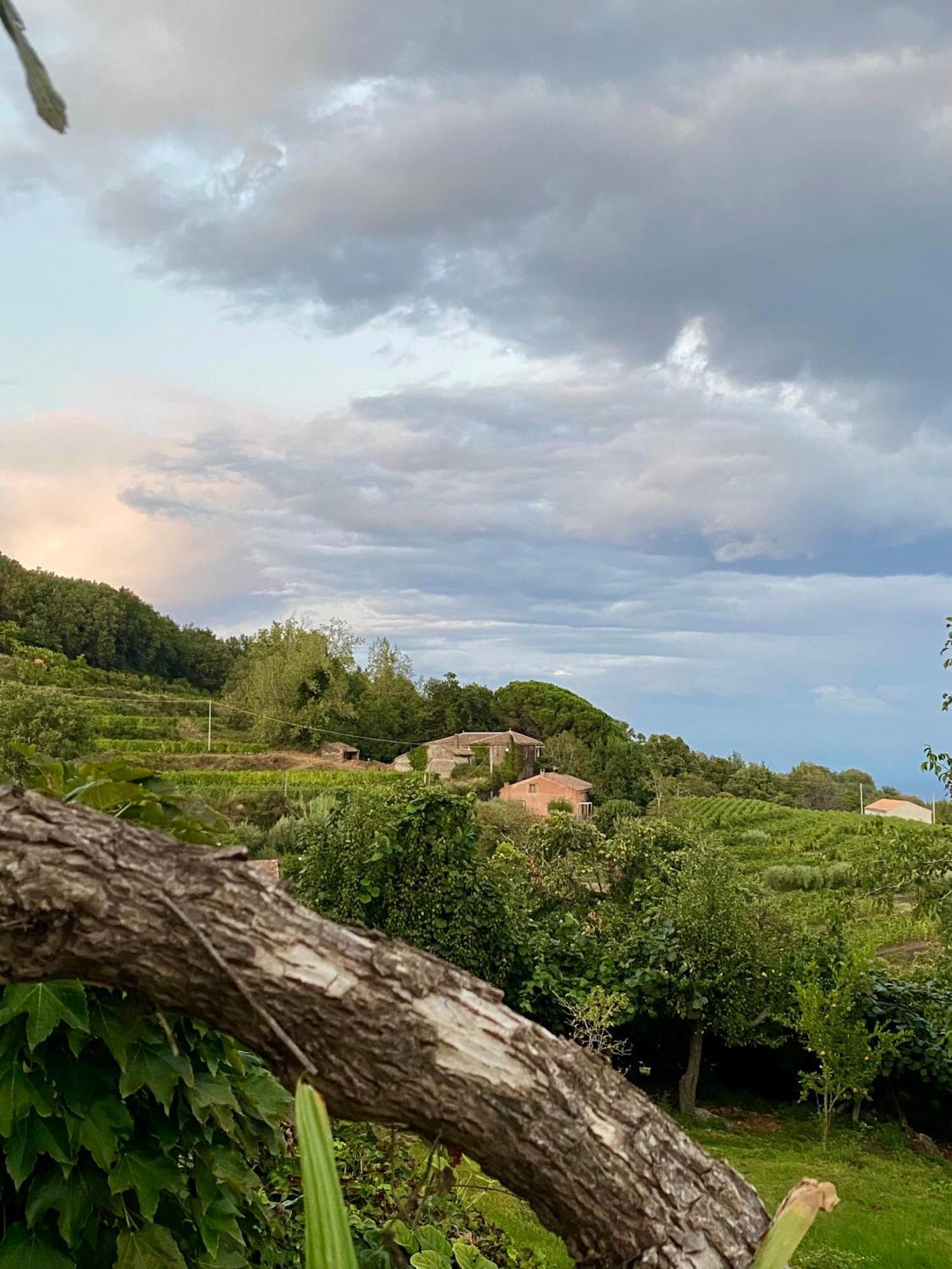 Tenuta Kiwi Dell'Etna ミーロ エクステリア 写真